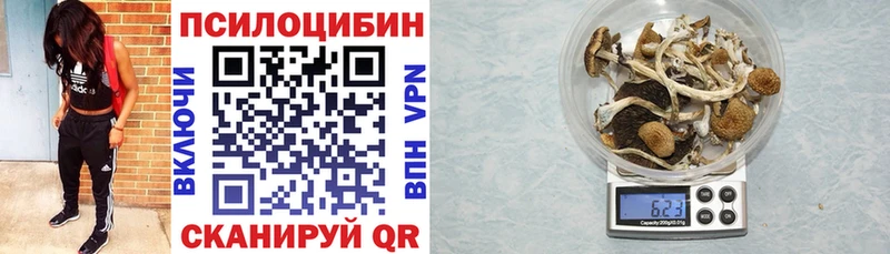 Галлюциногенные грибы Psilocybe Судак