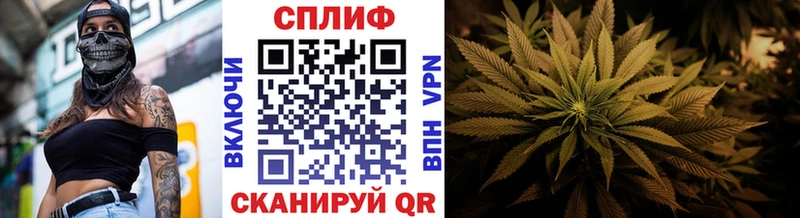 MEGA tor  продажа наркотиков  Судак  Бошки марихуана гибрид 